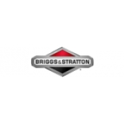 Briggs & Stratton Motoren