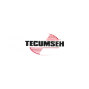 Tecumseh Motoren