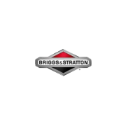 Briggs & Stratton