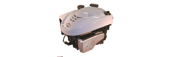 Briggs & Stratton
