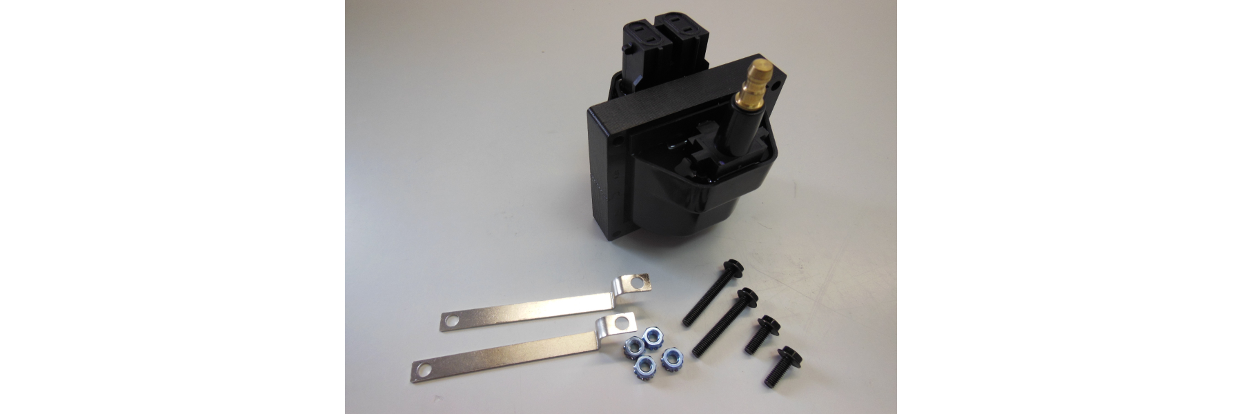 PARTSRUN Zündspule Für OMC Evinrude Johnson – Ersatz Für 0502890, 0584632 U.a., Modell 18-5194