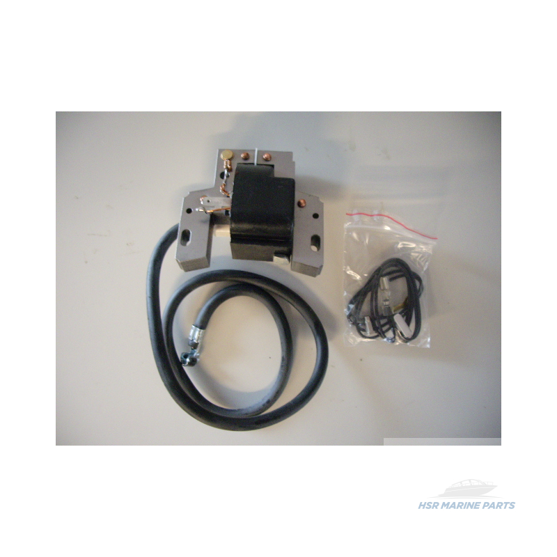 Module d'allumage moteur 7 à 16 cv Briggs et Stratton - 398811, 395326