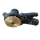 Pompe de circulation Pompe à eau Pour Mercruiser 3,0 L V4 V6 GM 153 181 250 46-8M0113733 884727 884755 880817 65142A1 65142
