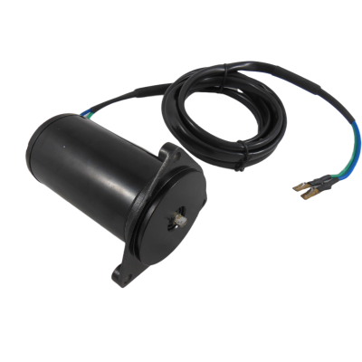 Tilt Trim Motor Für OMC Johnson Evinrude  3 4 6 8 Zylinder 2 Kabel 983446 985237 983019