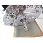 Honda Motor GXV160 22,2/20 x 62 mm Kurbelwelle...