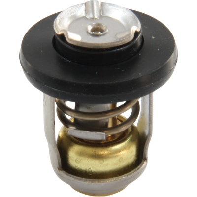 Thermostat for Mercury 855676002 8M0119207 8 9.9 10 15 20 25 30 JET EFI Seapro Outboard