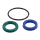 Dichtsatz Dichtung seal kit für metrische metric Endkappe Dichtkappe Verschlussschraube Gland end cap Für Volvo Penta Trimmzylinder trim cylinder 290SP 290DP 3860881