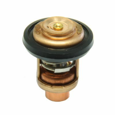 Thermostat für Honda BF4.5A BF5A BF6B BF8A BF8B BF9.9A BF9.9B BF10A BF15A BF15B 19300-881-761