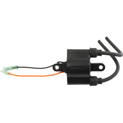 Bobine dallumage pour Yamaha 25 30 CV C30 C40 CV30 CV40 689-85570-21 689-85570-20