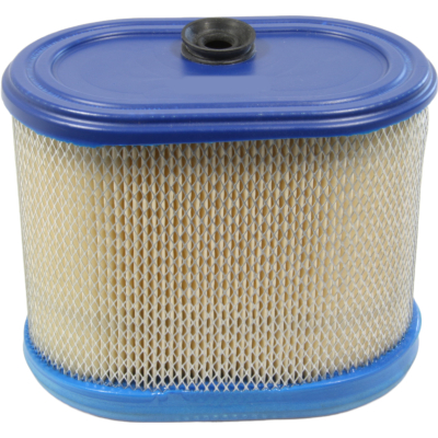 Air Filter *genuine* Briggs & Stratton 695302