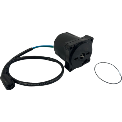 Moteur à inclinaison et trim pour Honda BF75D BF90D BF100A BF 75 90 100 36120-ZY9-003 36120-ZY9-013