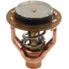 Thermostat für Yamaha F300 FL300 F350 FL350...