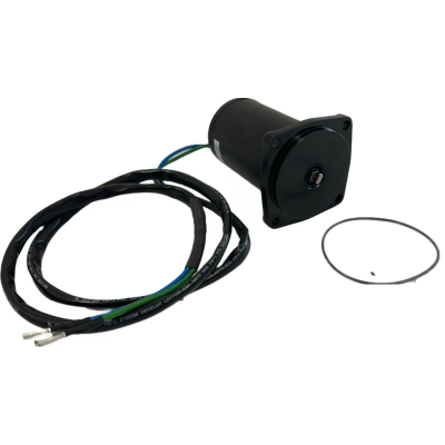Tilt Trim Motor für Suzuki DF40 DF50 38100-87J11 38100-87J20 Aussenborder