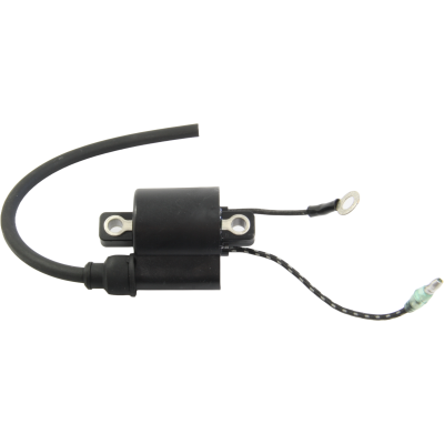Zündspule Ignition coil für Yamaha 25 30 40 50 HP 6H4-85570-20 Aussenborder Outboard