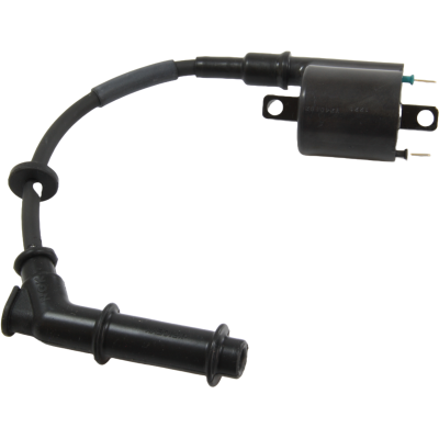 Bobine dallumage pour Honda BF60 BF60A 30513-ZZ3-003