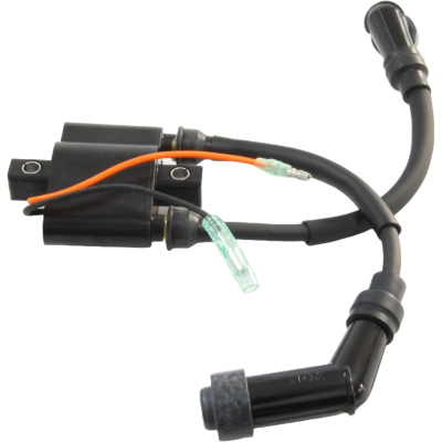 Zündspule Ignition coil für Mercury F9.9 F10 F15 F20 EFI 8M0134472